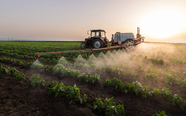 Best Commercial Pest Control Services  in Milton, FL