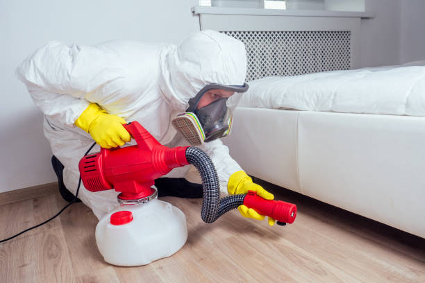 Best Pest Control Near Me  in Milton, FL