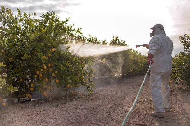 Pest Control Cost in Milton, FL