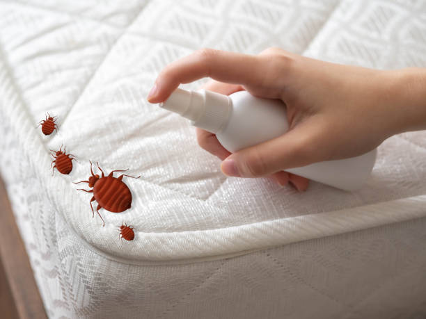 Best Local Pest Control Services  in Milton, FL