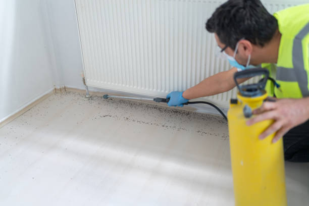 Best Exterminator Services  in Milton, FL