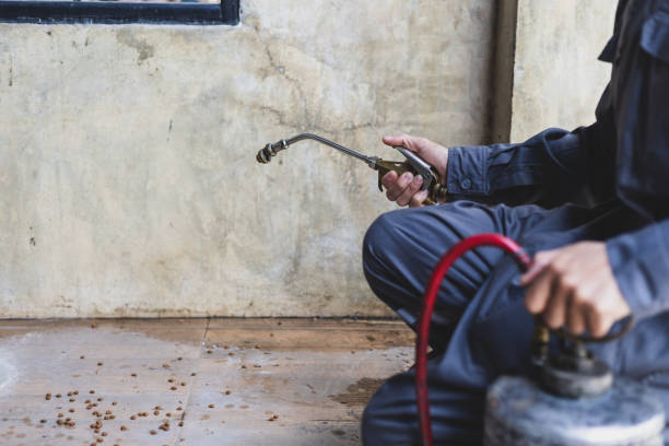 Best Emergency Pest Control  in Milton, FL